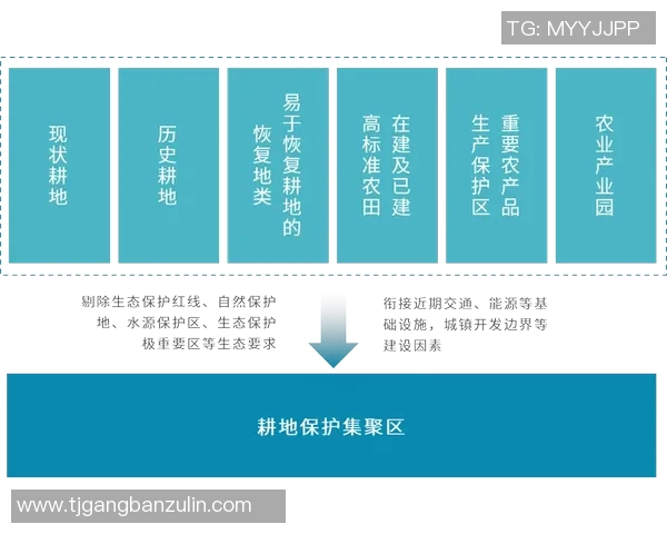 持证足球教练的职业发展与培训路径探讨及其对青少年足球教育的影响